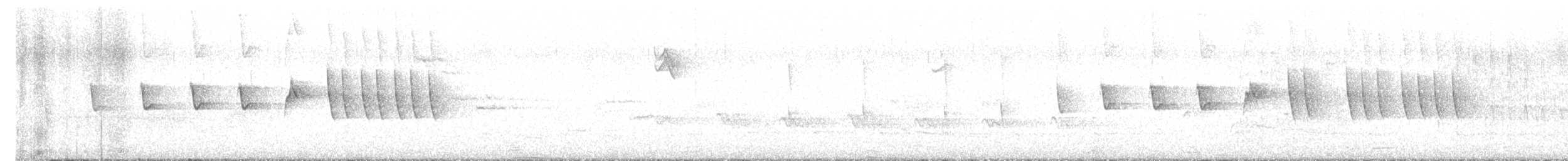 Iberian Chiffchaff - ML634708501