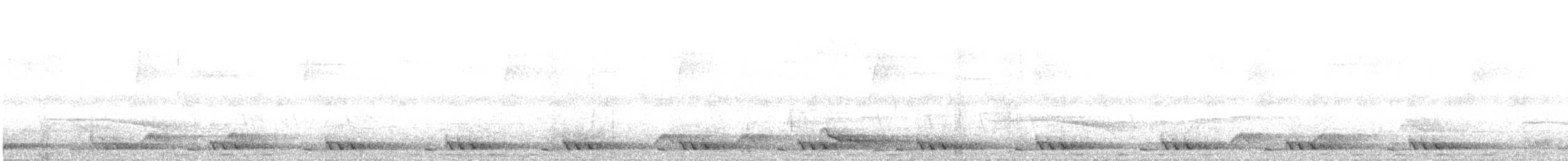 bird sp. - ML634710795