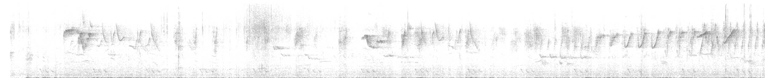 Gray-hooded Warbler - ML634714050