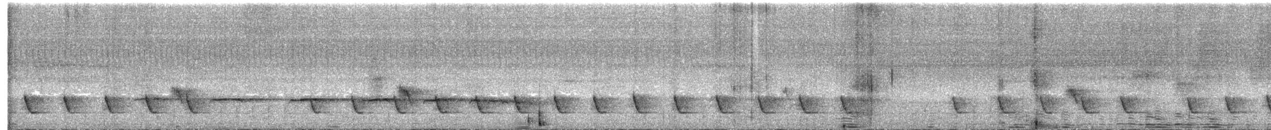 Plaintive Cuckoo - ML634717137