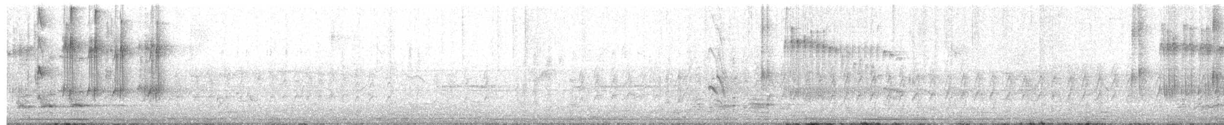 Rufous Treepie - ML634717895