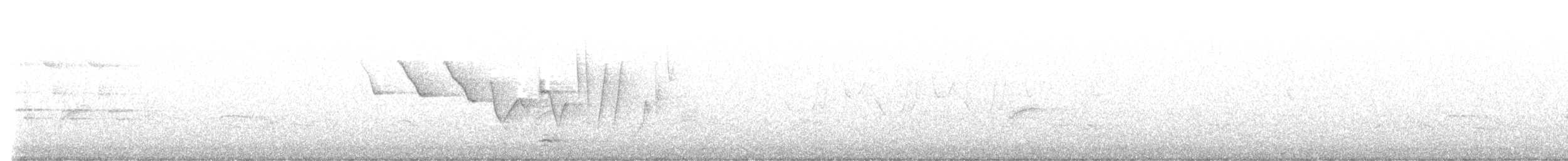 Louisiana Waterthrush - ML634722561