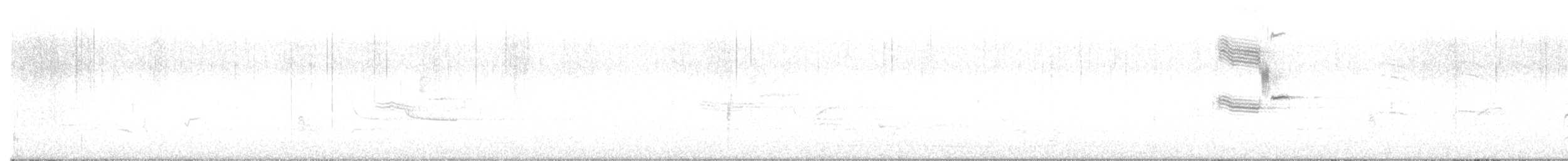passereau sp. - ML634723519
