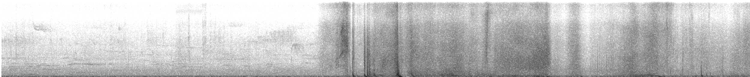 Northern Parula - ML634724890