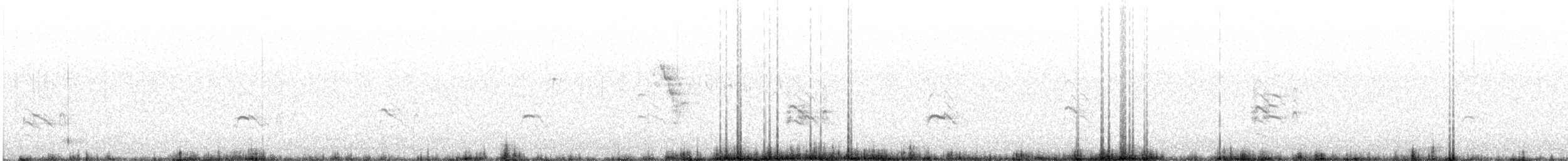 Larus sp. - ML634732331