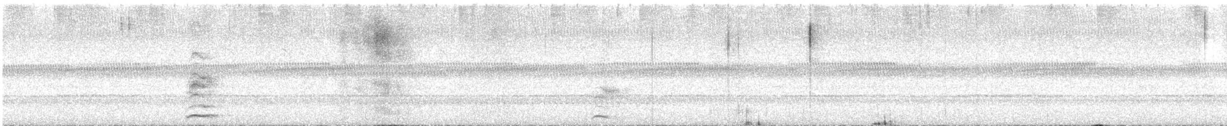 Feline Owlet-nightjar - ML634733829