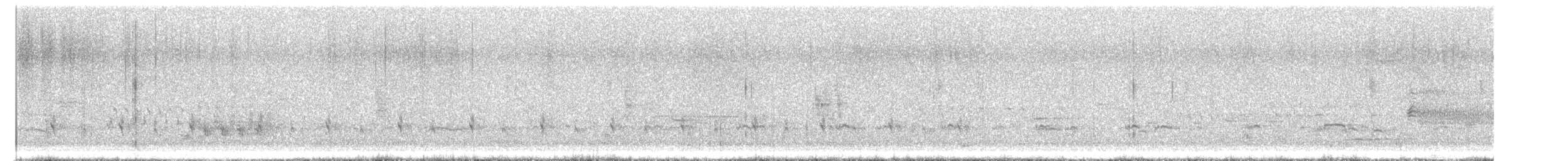 Wilson's Snipe - ML634735181