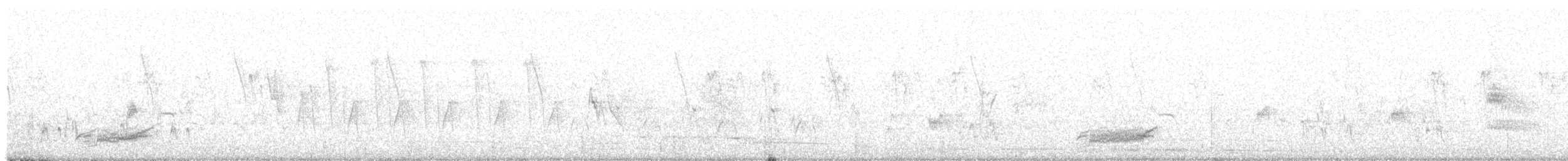 Barbary Partridge - ML634737603