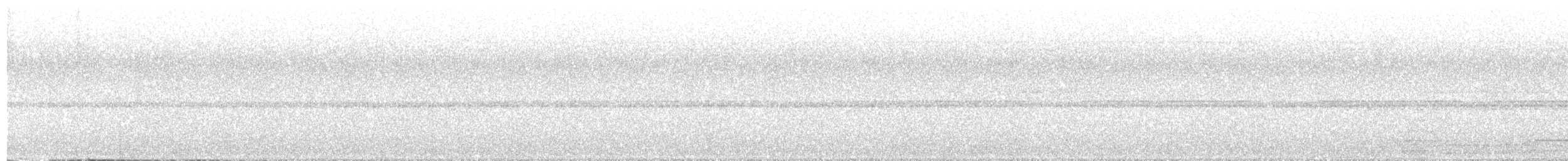 Short-tailed Antthrush - ML634743874