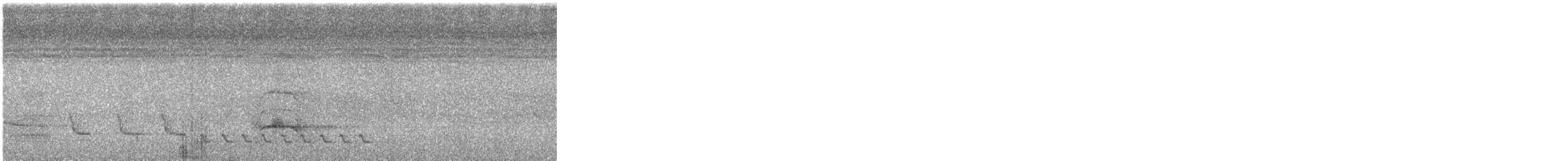 Ak Kanatlı Bekard - ML634746351