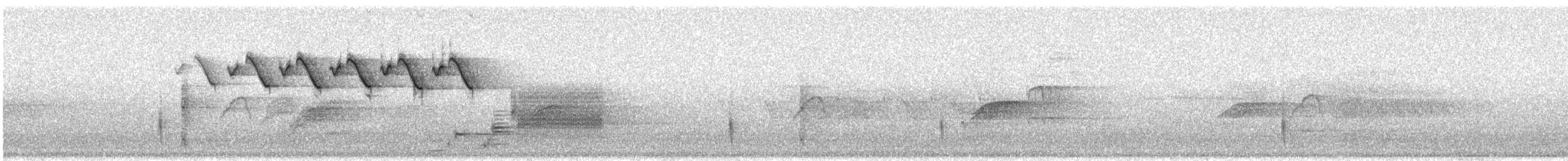 Black-and-white Warbler - ML634752801