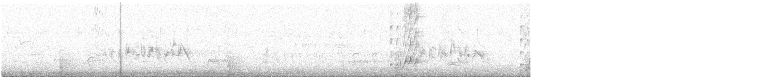 Myiarchus sp. - ML634756543