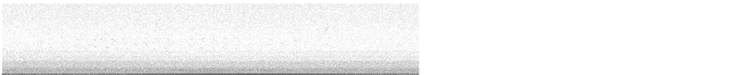 Качка sp. - ML634759113