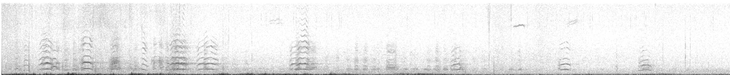 Snow Goose - ML634761872