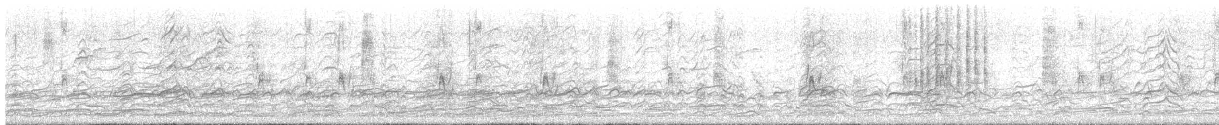 アメリカズグロカモメ - ML634763320