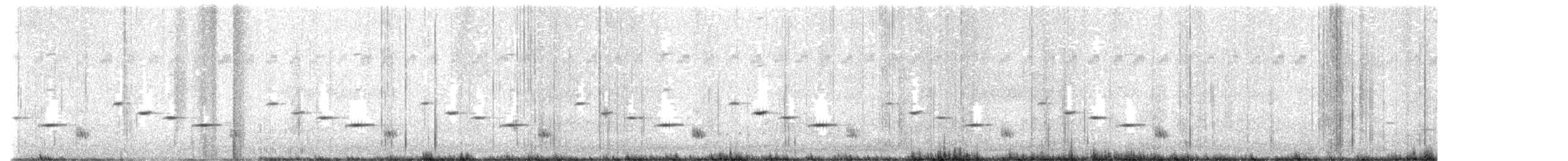 Chiming Wedgebill - ML634766845
