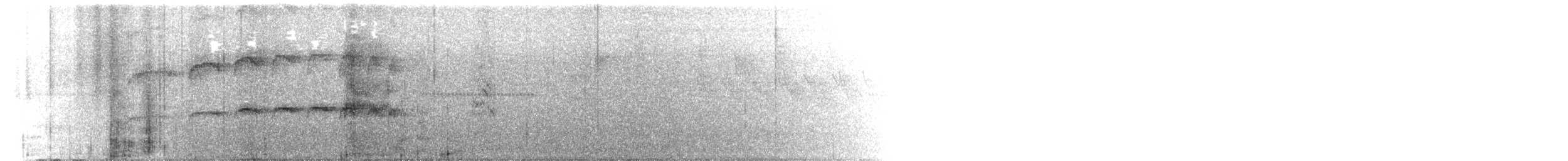Barred Becard - ML634768761