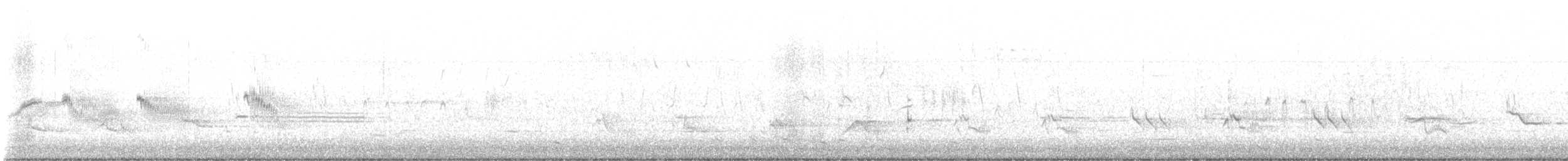 Carolinasumpfhuhn - ML634772481