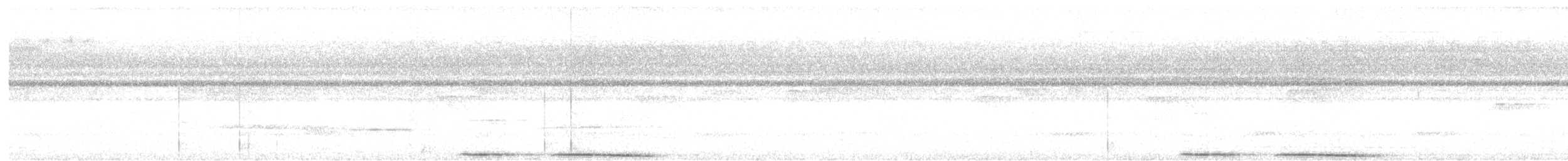 Bornean Ground-Cuckoo - ML634773767