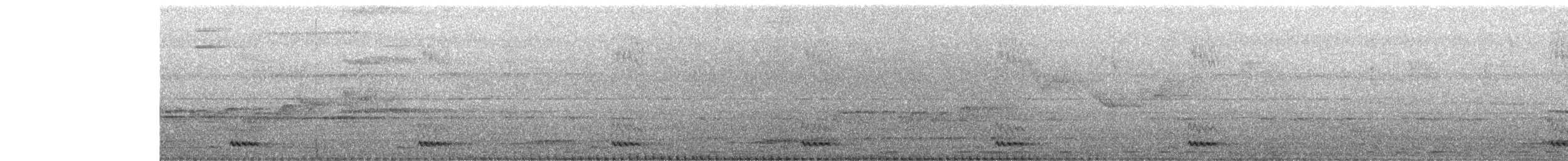 White-cheeked Barbet - ML634775266