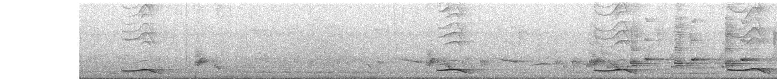 Asian Koel - ML634775382