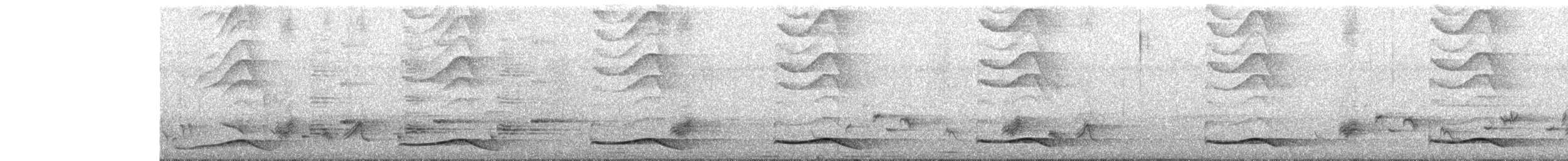 Asian Koel - ML634775384