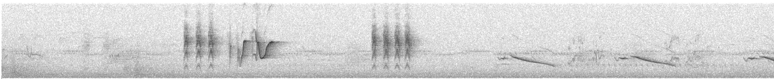 White-eared Monarch - ML634775500