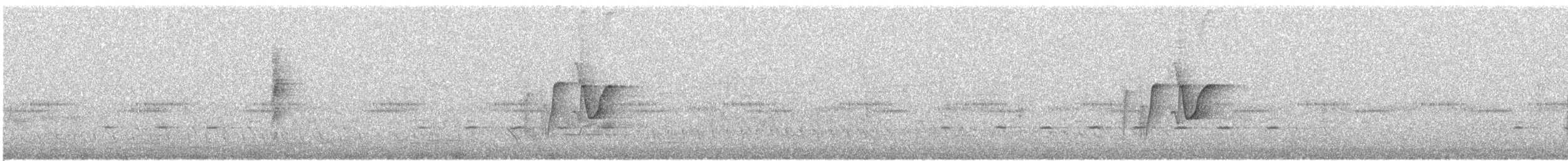 White-eared Monarch - ML634775510