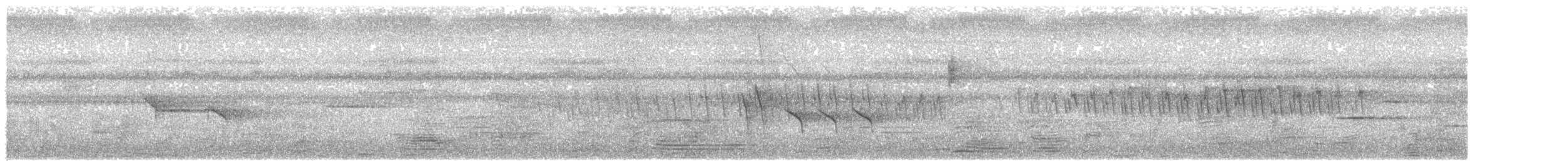 Perruche à croupion bleu - ML634777300