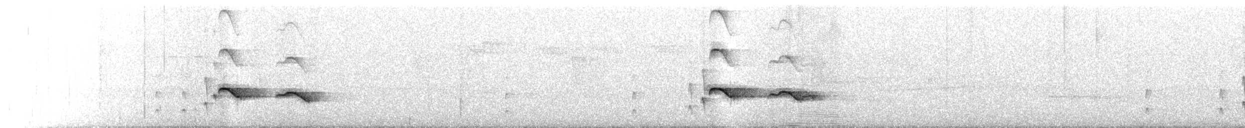 Ringed Antpipit - ML634779021