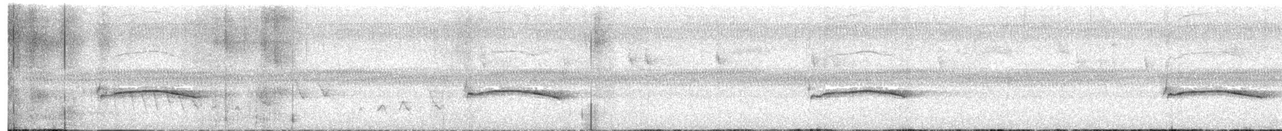 bronze-cuckoo sp. - ML634784165