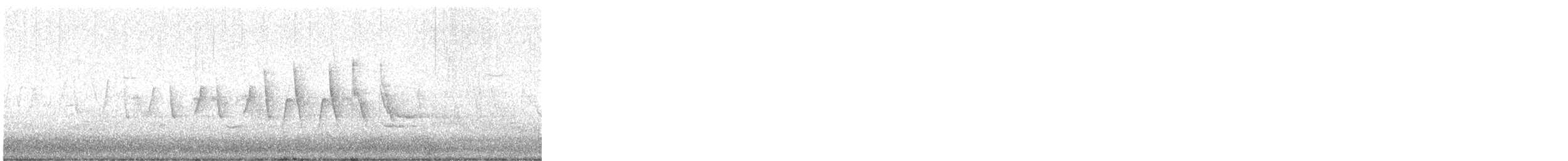 Northern Waterthrush - ML634784605