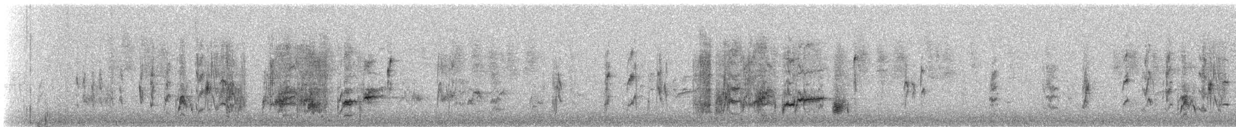 Cape Sugarbird - ML634784661