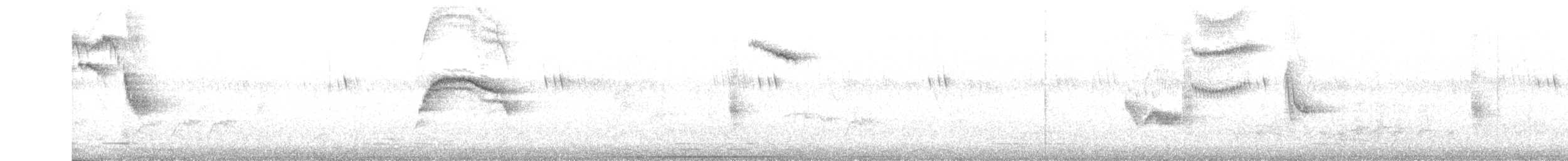 Northern Black-Flycatcher - ML634785171