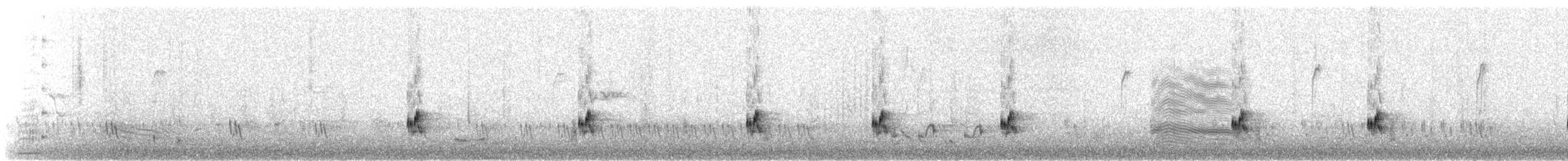 Little Rush Warbler - ML634785290