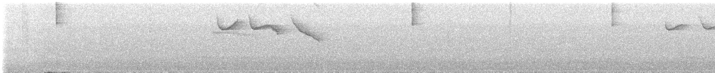 Half-collared Sparrow - ML634785670