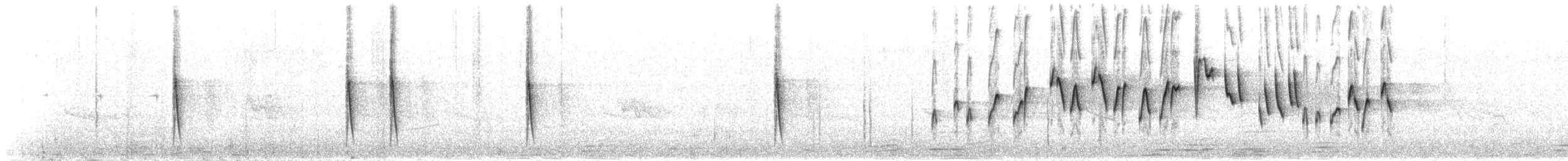 Victorin's Warbler - ML634785925