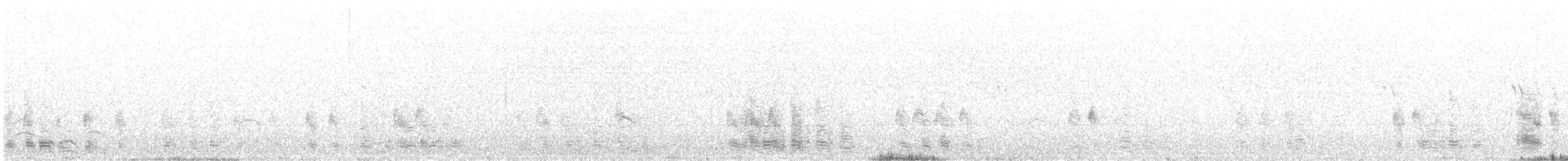 Boz Kaz (anser) - ML634786189