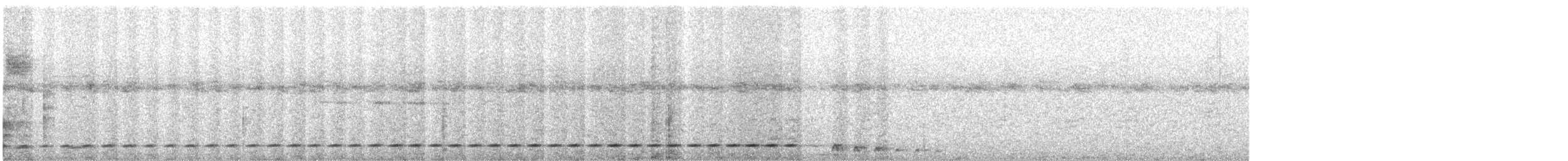 Short-tailed Antthrush - ML634788191
