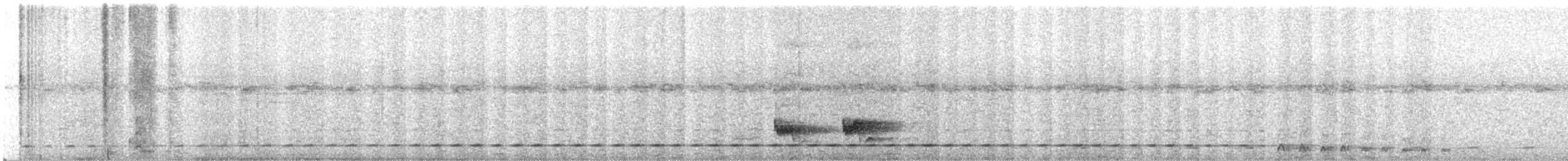 Short-tailed Antthrush - ML634788210