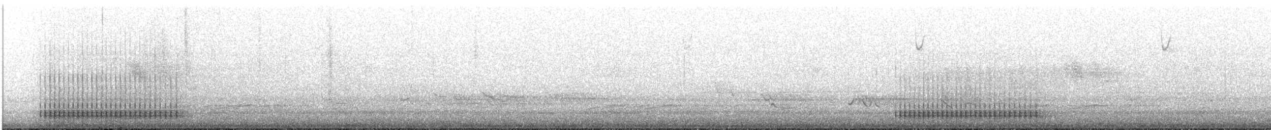 Pic chevelu - ML634789943