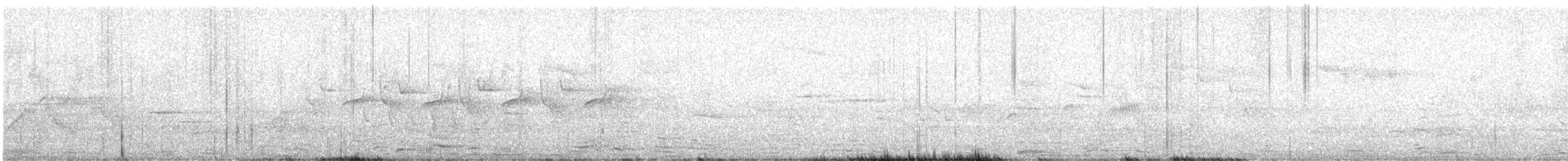 Coal Tit (Continental) - ML634790304