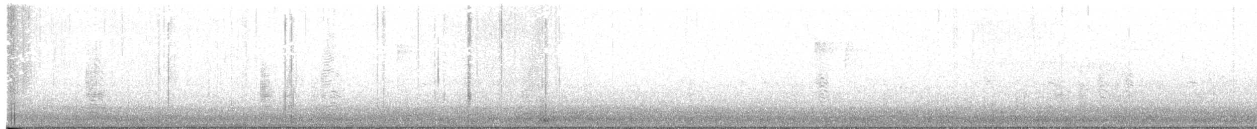 Boz Kaz (anser) - ML634790796