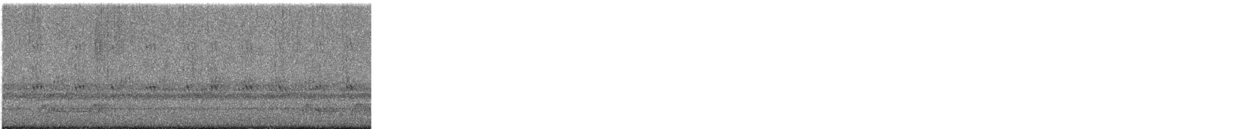 Chuck-will's-widow - ML634792856