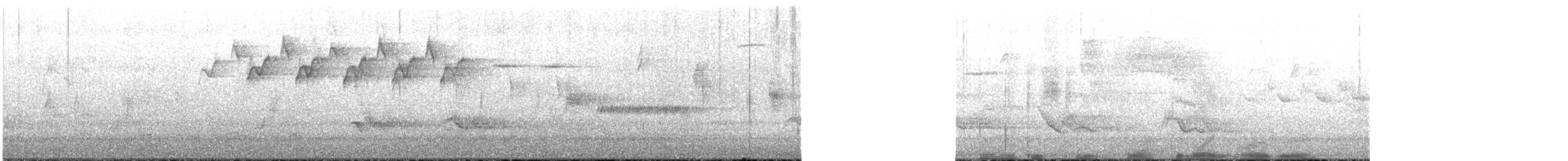 Paruline noir et blanc - ML634794378