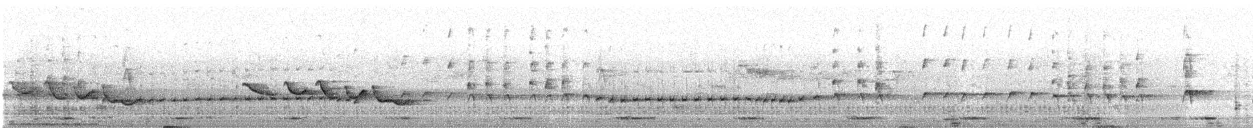 птица sp. - ML634794525