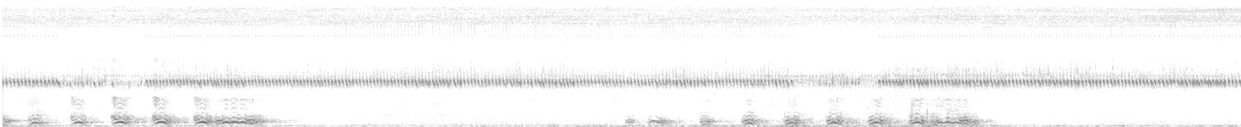 Barred Owl - ML634795114