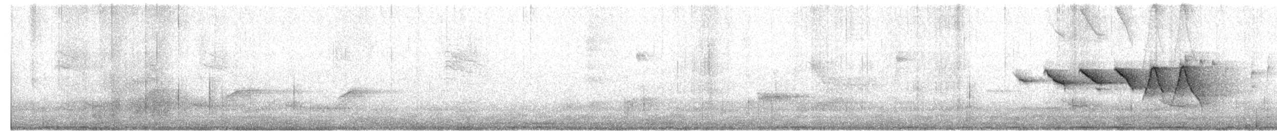 Swainson's Warbler - ML634796437