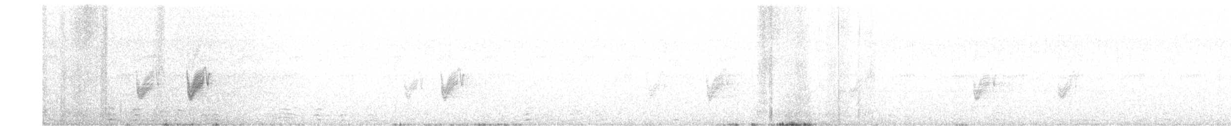 Savanna Nightjar - ML634796443