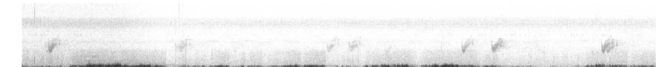 Savanna Nightjar - ML634796444